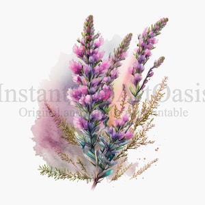 Heater Flowers Clipart, 10 High Quality JPGs, Botanical Art, Digital Download, Card Making, Journaling, Digital Paper Craft | #204