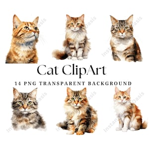 Assorted Cats Clipart, 14 High Quality PNGs, Nursery Art, Digital Download | Card Making, Cute Animal Clipart, Digital Paper Craft | #1159