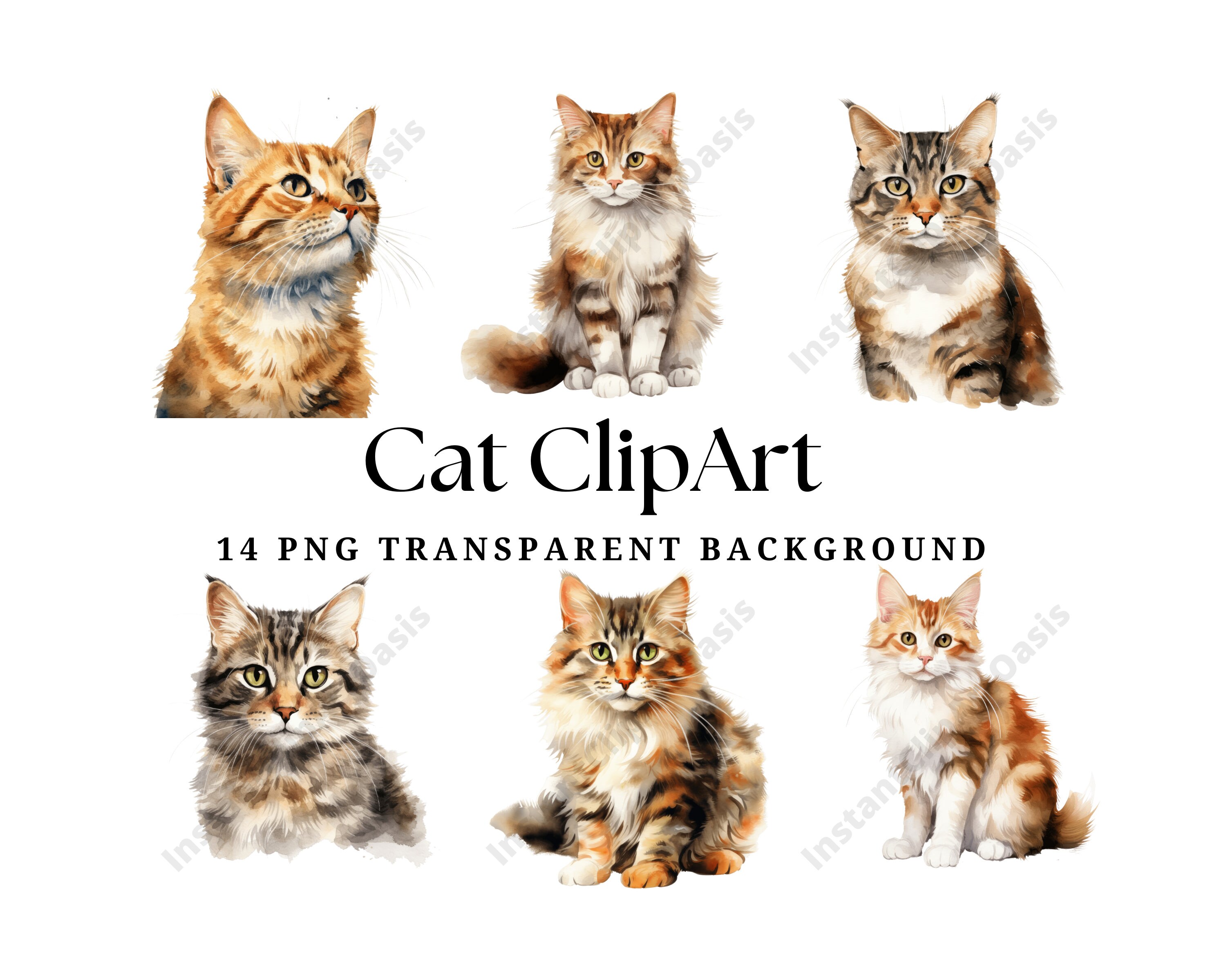 Assorted Cats Clipart, 14 High Quality Pngs, Nursery Art, Digital ...