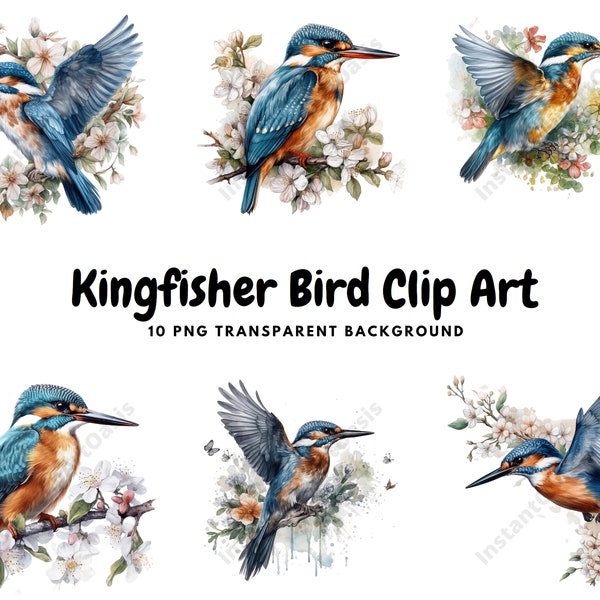 10 PNG's van hoge kwaliteit - Kingfisher Bird Clipart, kinderkamerkunst, digitale download | Kaarten maken, dieren clipart, digitaal papier ambacht | #370