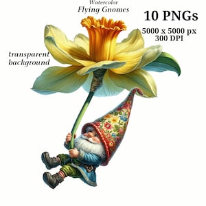 Puede incluir: Un gnomo con barba blanca y un sombrero colorido se agarra a una gran flor de narciso amarilla con hojas verdes. El gnomo está volando por el aire.