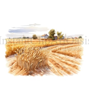 Könnte beinhalten: Ein Aquarellbild eines goldenen Weizenfeldes mit einem Feldweg, der sich durch das Feld schlängelt. In der Ferne sind mehrere kleine Häuser und Bäume zu sehen.