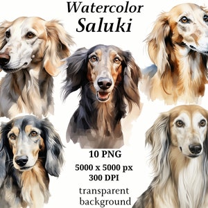 Saluki Clipart - 10 hochwertige PNGs, Kindergarten, digitaler Planer, Aquarell Hund, Kartenherstellung, Journaling, digitaler Download #1226