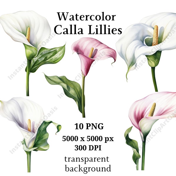 Calla Lillies Clipart, 10 High Quality PNGs, Botanical Art, Digital Download, Card Making, Journaling, Digital Paper Craft | #973