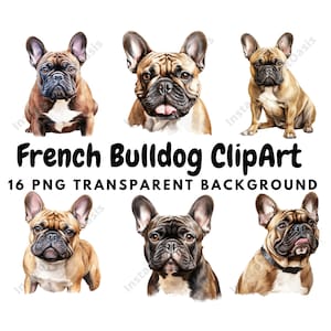 16 PNG's van hoge kwaliteit - Franse Bulldog Clipart, Kwekerij, Digitale Planner, Aquarel, Kaart maken, Journaling, Digitale Download #897