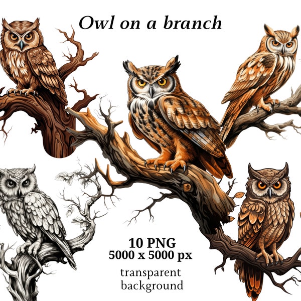 Owl on a Branch Clipart, 10 High Quality JPGs, Nursery Art | Card Making, Clip Art, Owl Print, Digital Paper Craft, Painting | #1364