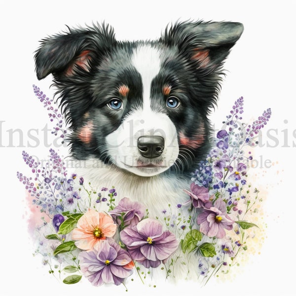 Floral Border Collies Clipart, 10 High Quality JPGs, Nursery, Digital Planner, Watercolor, Card Making, Journaling, Digital Download #356