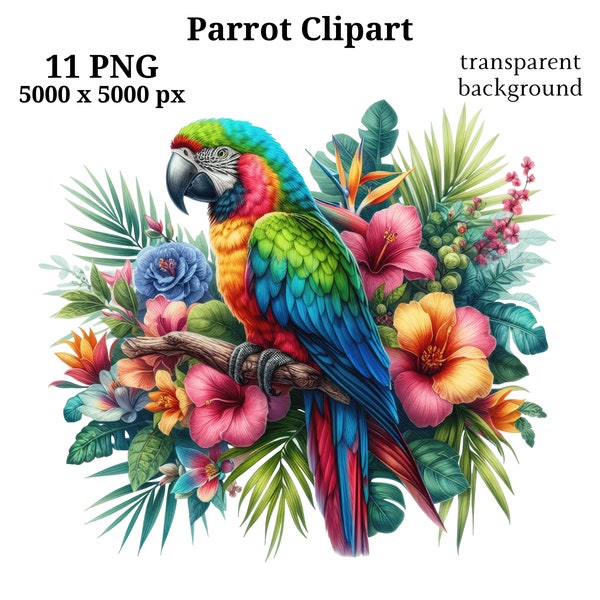 Clipart perroquet coloré, 11 fichiers PNG de haute qualité, art pour chambre d'enfant, téléchargement numérique, clipart perroquet, créations numériques en papier, animal coloré | #1463