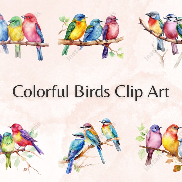 Colorful Birds Clipart, 10 High Quality PNGs, Nursery Art, Instant Digital Download | Card Making, Animal Clipart, Digital Paper Craft #390