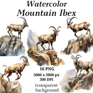 Mountain Ibex Clipart - 10 PNGs de alta qualidade, planejadores digitais, diários indesejados, download digital, gráficos para impressão, scrapbooking | #1183
