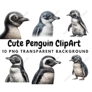 10 High Quality PNGs - Cute Penguin Clipart, Nursery Art, Instant Digital Download, Card Making, Animal Clipart, Paper Craft #447