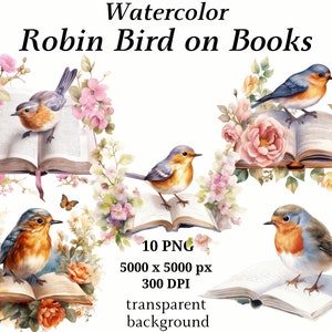 Robin Bird sur livres des cliparts - 10 PNG de haute qualité, art pour chambre d'enfant, téléchargement numérique | Fabrication de cartes, cliparts livres, créations numériques en papier | #1233