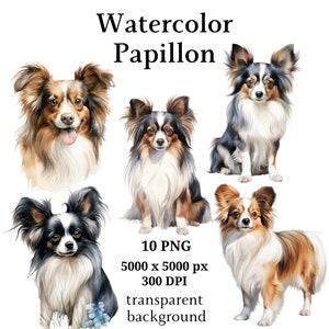 Papillon Clipart, 10 High Quality PNGs, Digital Planner, Watercolor Papillon, Card Making, Journaling, Digital Download #1056