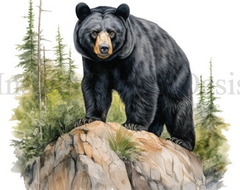 Aquarell Schwarzbär Clipart, 10 hochwertige JPGs, Kinderzimmer Kunst | Kartenherstellung, ClipArt, Bärendruck, digitales Papierhandwerk | #812