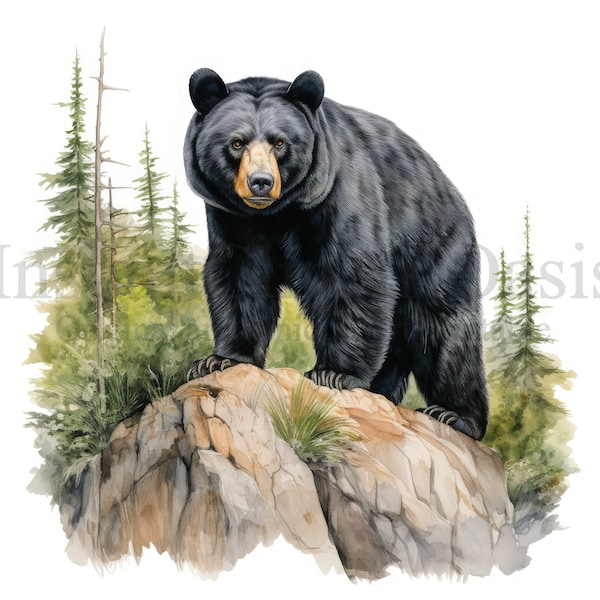 Watercolor Black Bear Clipart, 10 High Quality JPGs, Nursery Art | Card Making, Clip Art, Bear Print, Digital Paper Craft | #812