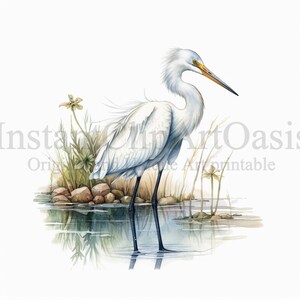 Egret Clipart, 10 JPG di alta qualità, Nursery Art, Download digitale istantaneo / Creazione di carte, Clipart animali, Mestiere di carta digitale #625
