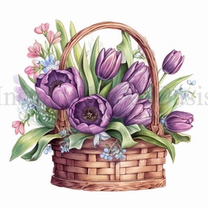 Clipart de panier de tulipes violettes, 10 JPG de haute qualité, Journal indésirable, Planificateur numérique, Art mural, Artisanat en papier numérique, Aquarelle | #609