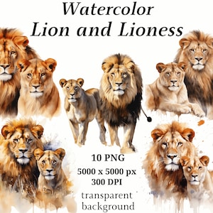 Imágenes prediseñadas de león y leona - 10 PNG de alta calidad, descarga digital, fabricación de tarjetas, imágenes prediseñadas de animales, gráficos imprimibles, artesanía de papel digital #1201
