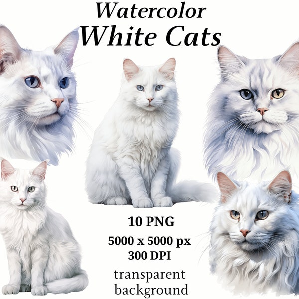 White Cats Clipart, 10 High Quality PNGs, Nursery Art, Digital Download | Card Making, Cute Cat Clipart, Digital Paper Craft | #1225