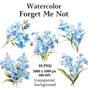 Forget Me Not Clipart, 10 PNG de haute qualité, Clipart botanique, Planificateurs numériques, Junk Journals, Téléchargement numérique, Livres de mémoire | #1092