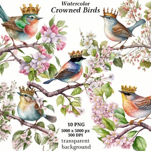 Imágenes prediseñadas de pájaros coronados, 10 PNG de alta calidad, arte infantil, descarga digital / creación de tarjetas, imágenes prediseñadas de animales, artesanía de papel digital / #1328