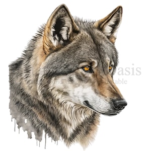 Imágenes prediseñadas de lobo gris, 10 PNG de alta calidad, arte infantil, descarga digital instantánea / fabricación de tarjetas, imágenes prediseñadas de animales, artesanía de papel digital / #305