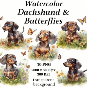 Teckel & vlinders clipart, 10 hoge kwaliteit PNG's, kinderkamer kunst | Kaarten maken, illustraties, digitaal papier, aquarel | #428