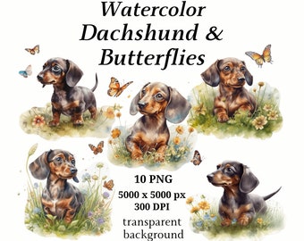 Dachshund & Butterflies Clipart, 10 High Quality PNGs, Nursery Art | Card Making, Clip Art, Digital Paper Craft, Watercolour Painting | #428