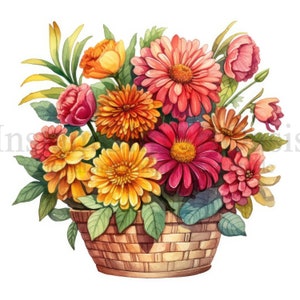 May include: A wicker basket overflowing with a colorful bouquet of flowers. The flowers include pink, red, orange, and yellow dahlias, zinnias, and gerbera daisies.