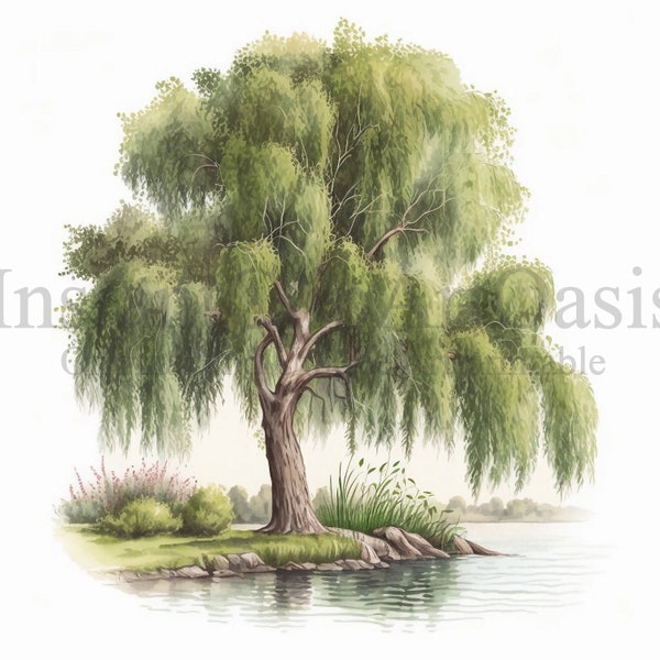 Willow Trees Clipart, 10 High Quality JPGs, Botanical Art, Digital Download, Card Making, Journaling, Digital Paper Craft | #292