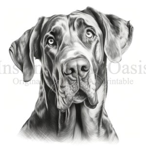 Great Dane Portrait, 10 High Quality JPGs, Nursery Art, Digital Download, Card Making, Cute Dog Clipart, Paper Craft | #708