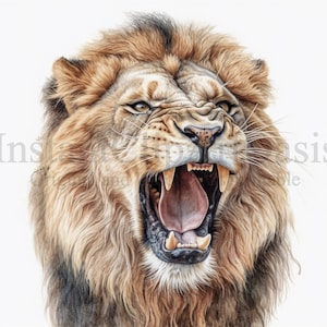 Clipart de leão que ruge, 10 JPGs de alta qualidade, arte de berçário, download digital instantâneo | Fabricação de cartões, clipart de leão, artesanato em papel digital | #525