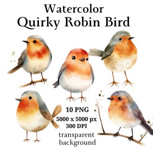 Clipart peculiar de Robin Bird, 10 PNGs de alta qualidade, arte de berçário, planejador digital, aquarela, criação de cartões, registro no diário, download digital | #1005