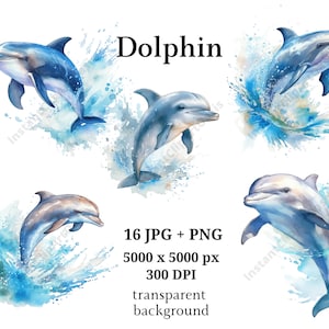 16 JPG + PNG de haute qualité, Floral Dolphin Clipart, Nursery Art | Fabrication de cartes, Clip Art, Impression de dauphins, Créations en papier, Aquarelle | #927