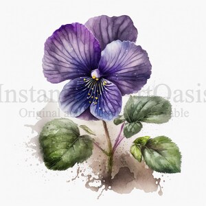 Violet Clipart, 10 hochwertige JPGs, botanische Kunst, digitaler Download, Kartenherstellung, Journaling, digitales Papierhandwerk | #175