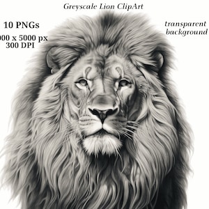 Clipart Lion en niveaux de gris - 10 PNG de haute qualité, téléchargement numérique, fabrication de cartes, Clipart Animal, graphiques imprimables, créations numériques en papier # 1385