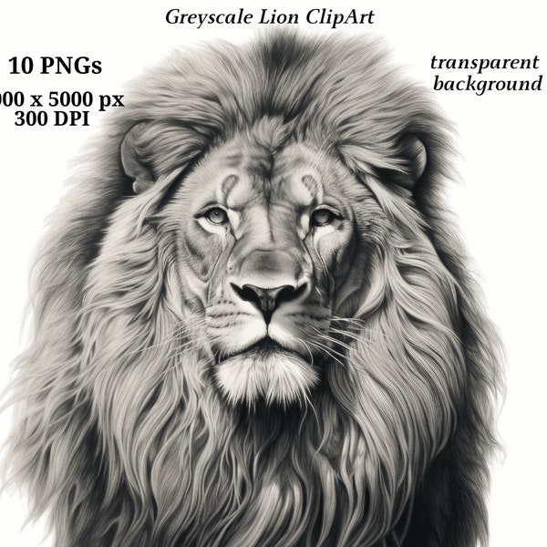 Lion Greyscale Clipart - 10 High Quality PNGs, Digital Download, Card Making, Animal Clipart, Printable Graphics, Digital Paper Craft #1385