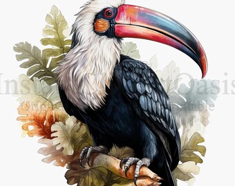 Hornbill Clipart, 10 High Quality JPGs, Bird Instant Digital Download | Card Making, Exotic Bird Clipart, Digital Paper Craft | #587