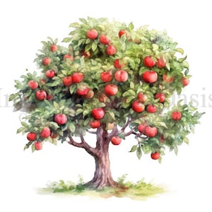 Apple Trees Clipart, 10 High Quality Jpgs, Botanical Art, Digital ...