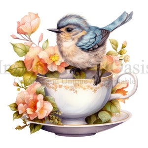 Cute Bird in a Cup Clipart, 10 JPG di alta qualità, Download digitale istantaneo / Creazione di carte, Clipart animali, Mestiere di carta digitale / #805