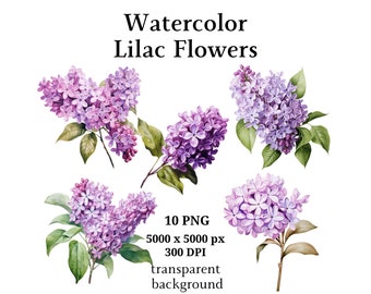 Lilac Flowers Clipart, 10 High Quality PNGs, Botanical Clipart, Digital Planners, Junk Journals, Digital Download, Memory Books | #1068