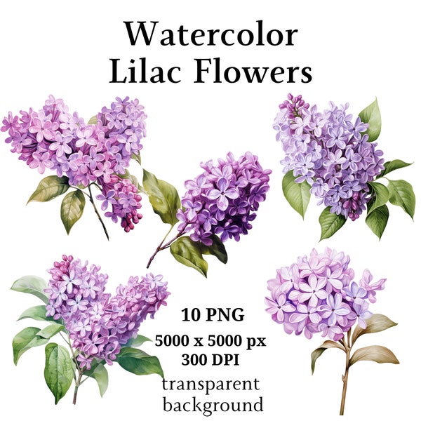 Lilac Flowers Clipart, 10 High Quality PNGs, Botanical Clipart, Digital Planners, Junk Journals, Digital Download, Memory Books | #1068