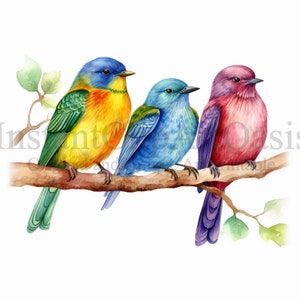Imágenes prediseñadas de pájaros coloridos, 10 JPG de alta calidad, arte infantil, descarga digital instantánea / creación de tarjetas, imágenes prediseñadas de animales, artesanía de papel digital #390