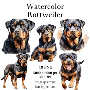 Rottweiler Clipart, 10 High Quality PNGs, Digital Planner, Watercolor Rottweiler, Card Making, Journaling, Digital Download #1057
