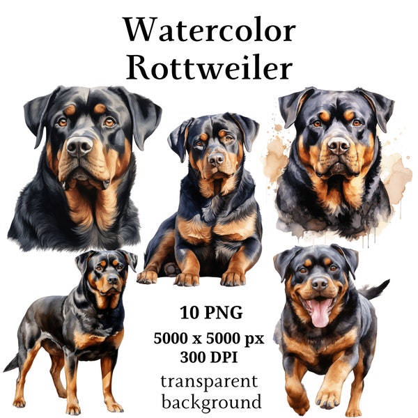 Rottweiler Clipart, 10 High Quality PNGs, Digital Planner, Watercolor Rottweiler, Card Making, Journaling, Digital Download #1057