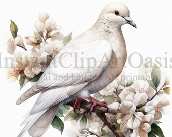 White Dove Clipart, 10 High Quality JPGs, Nursery Art, Digital Download | Card Making, Cute Bird Clipart, Digital Paper Craft | #373