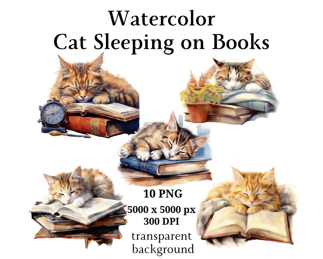 Cat Sleeping on Books Clipart, 10 High Quality Pngs, Digital Download ...