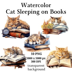 Cat Sleeping on Books Clipart, 10 High Quality PNGs, Digital Download | Card Making, Cute Cat Clipart, Digital Paper Craft | #1035