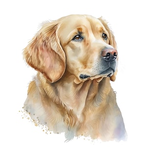 Clipart Golden Retriever, 10 PNG di alta qualità, Arte della scuola materna, Download digitale / Creazione di cartoline, Clipart cane carino, Mestiere con la carta digitale / #115