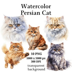 Perserkatze Clipart, 10 hochwertige PNGs, Kinderzimmer Kunst, digitaler Download | Kartenherstellung, niedliche Katze Clipart, Digital Paper Craft | #1032